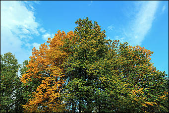 20 сентября 2017 г, Барнаул. Екатерина Смолихина   Буйство красок осеннего Барнаула