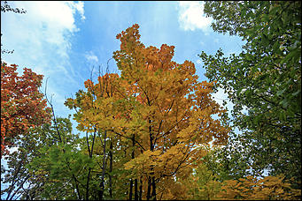 20 сентября 2017 г, Барнаул. Екатерина Смолихина   Буйство красок осеннего Барнаула