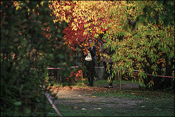 20 сентября 2017 г, Барнаул. Екатерина Смолихина   Буйство красок осеннего Барнаула