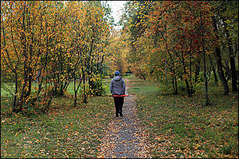 20 сентября 2017 г, Барнаул. Екатерина Смолихина   Буйство красок осеннего Барнаула