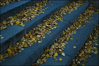 2 октября 2018 г., Барнаул. Екатерина Смолихина   Город "в огне": фотографии Барнаула в осеннем закате