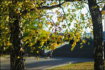 2 октября 2018 г., Барнаул. Екатерина Смолихина   Город "в огне": фотографии Барнаула в осеннем закате
