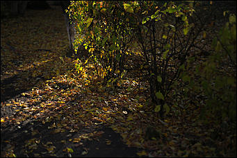 2 октября 2018 г., Барнаул. Екатерина Смолихина   Город "в огне": фотографии Барнаула в осеннем закате