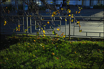 2 октября 2018 г., Барнаул. Екатерина Смолихина   Город "в огне": фотографии Барнаула в осеннем закате