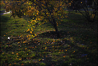 2 октября 2018 г., Барнаул. Екатерина Смолихина   Город "в огне": фотографии Барнаула в осеннем закате