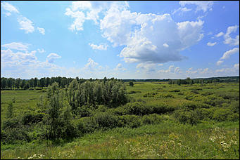 3 августа 2017 г., Алтайский край. Смолихина Екатерина Конфискованных соколов-балобанов выпустили на свободу в Алтайском крае