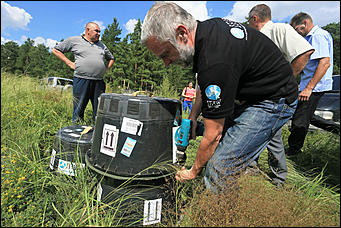 3 августа 2017 г., Алтайский край. Смолихина Екатерина Конфискованных соколов-балобанов выпустили на свободу в Алтайском крае