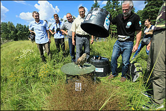 3 августа 2017 г., Алтайский край. Смолихина Екатерина Конфискованных соколов-балобанов выпустили на свободу в Алтайском крае
