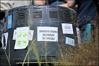 3 августа 2017 г., Алтайский край. Смолихина Екатерина Конфискованных соколов-балобанов выпустили на свободу в Алтайском крае