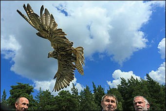 3 августа 2017 г., Алтайский край. Смолихина Екатерина Конфискованных соколов-балобанов выпустили на свободу в Алтайском крае