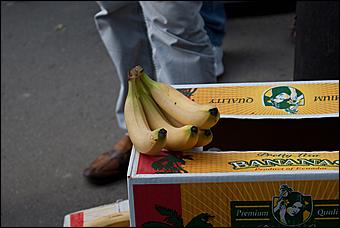 7 июня 2011 г., Барнаул   Банановый вечер в Барнауле