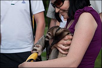 7 июня 2011 г., Барнаул   Банановый вечер в Барнауле