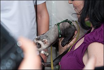 7 июня 2011 г., Барнаул   Банановый вечер в Барнауле