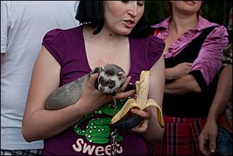 7 июня 2011 г., Барнаул   Банановый вечер в Барнауле