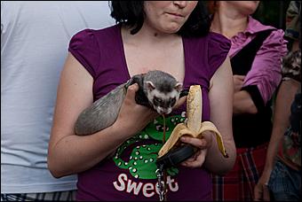 7 июня 2011 г., Барнаул   Банановый вечер в Барнауле