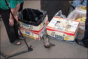 7 июня 2011 г., Барнаул   Банановый вечер в Барнауле