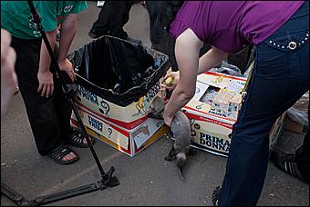 7 июня 2011 г., Барнаул   Банановый вечер в Барнауле