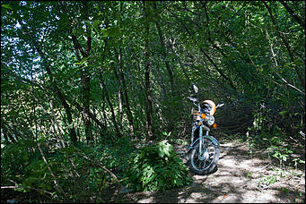 28 сентябрь 2016 г., Барнаул © Амител Вячеслав Мельников   Барнаулка, какой ее мало кто видит: фотопрогулка по окрестностям