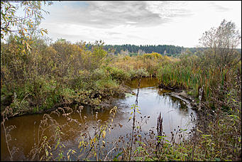 28 сентябрь 2016 г., Барнаул © Амител Вячеслав Мельников   Барнаулка, какой ее мало кто видит: фотопрогулка по окрестностям
