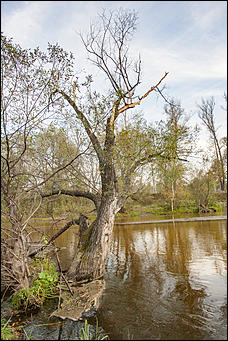 28 сентябрь 2016 г., Барнаул © Амител Вячеслав Мельников   Барнаулка, какой ее мало кто видит: фотопрогулка по окрестностям