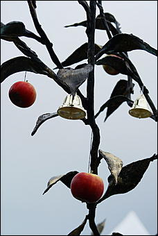 11 августа 2007 г., Белокуриха   День рождения Белокурихи

(фото Кристины Красниковой)