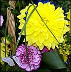 30 августа 2008 г., Барнаул   Цветы Барнаулу в день рождения!