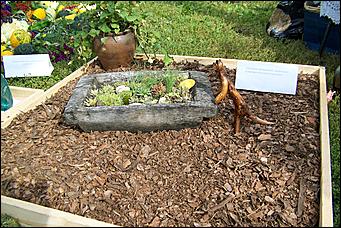 30 августа 2008 г., Барнаул   Цветы Барнаулу в день рождения!