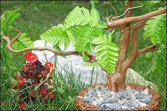 30 августа 2008 г., Барнаул   Цветы Барнаулу в день рождения!