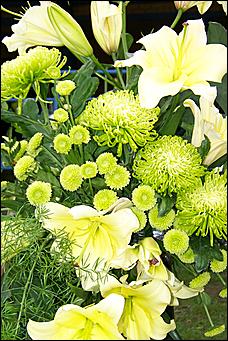 30 августа 2008 г., Барнаул   Цветы Барнаулу в день рождения!