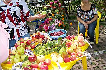 30 августа 2008 г., Барнаул   Цветы Барнаулу в день рождения!