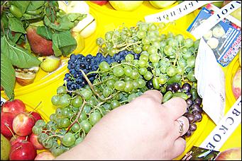 30 августа 2008 г., Барнаул   Цветы Барнаулу в день рождения!