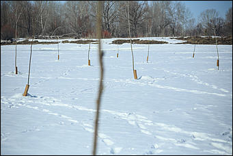 22 марта 2019 г., Барнаул. Екатерина Смолихина   Большой взрыв: как на Алтае освобождают реки ото льда