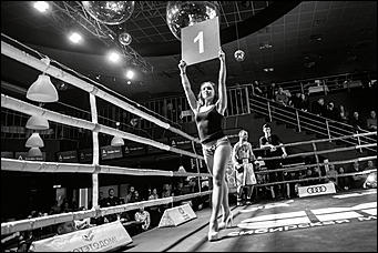 2 декабрь 2016 г., Барнаул © Амител Вячеслав Мельников   Девушки и бокс: "Великий бой на Алтае" прошел в Барнауле без Валуева