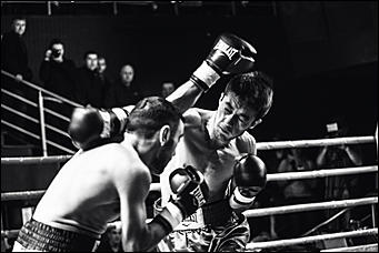 2 декабрь 2016 г., Барнаул © Амител Вячеслав Мельников   Девушки и бокс: "Великий бой на Алтае" прошел в Барнауле без Валуева