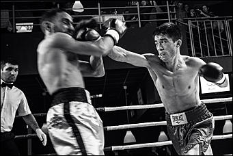 2 декабрь 2016 г., Барнаул © Амител Вячеслав Мельников   Девушки и бокс: "Великий бой на Алтае" прошел в Барнауле без Валуева