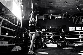 2 декабрь 2016 г., Барнаул © Амител Вячеслав Мельников   Девушки и бокс: "Великий бой на Алтае" прошел в Барнауле без Валуева