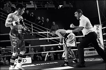 2 декабрь 2016 г., Барнаул © Амител Вячеслав Мельников   Девушки и бокс: "Великий бой на Алтае" прошел в Барнауле без Валуева