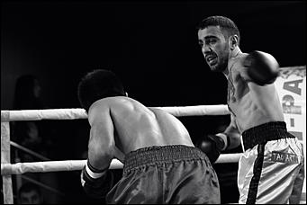 2 декабрь 2016 г., Барнаул © Амител Вячеслав Мельников   Девушки и бокс: "Великий бой на Алтае" прошел в Барнауле без Валуева