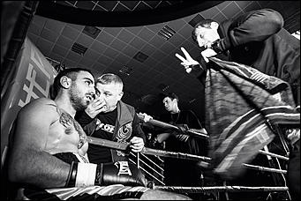 2 декабрь 2016 г., Барнаул © Амител Вячеслав Мельников   Девушки и бокс: "Великий бой на Алтае" прошел в Барнауле без Валуева