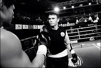 2 декабрь 2016 г., Барнаул © Амител Вячеслав Мельников   Девушки и бокс: "Великий бой на Алтае" прошел в Барнауле без Валуева