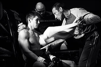 2 декабрь 2016 г., Барнаул © Амител Вячеслав Мельников   Девушки и бокс: "Великий бой на Алтае" прошел в Барнауле без Валуева