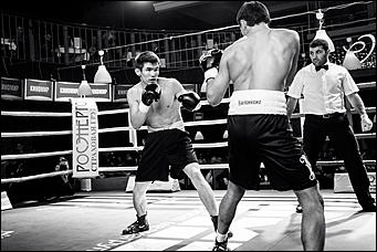 2 декабрь 2016 г., Барнаул © Амител Вячеслав Мельников   Девушки и бокс: "Великий бой на Алтае" прошел в Барнауле без Валуева