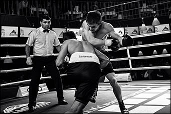 2 декабрь 2016 г., Барнаул © Амител Вячеслав Мельников   Девушки и бокс: "Великий бой на Алтае" прошел в Барнауле без Валуева