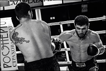 2 декабрь 2016 г., Барнаул © Амител Вячеслав Мельников   Девушки и бокс: "Великий бой на Алтае" прошел в Барнауле без Валуева