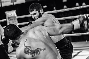 2 декабрь 2016 г., Барнаул © Амител Вячеслав Мельников   Девушки и бокс: "Великий бой на Алтае" прошел в Барнауле без Валуева