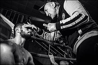 2 декабрь 2016 г., Барнаул © Амител Вячеслав Мельников   Девушки и бокс: "Великий бой на Алтае" прошел в Барнауле без Валуева