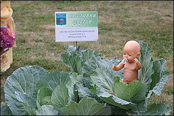 4 сентября 2010 г., Барнаул   Барнаулу 280: "Город мастеров" и выставка цветов