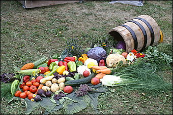 4 сентября 2010 г., Барнаул   Барнаулу 280: "Город мастеров" и выставка цветов