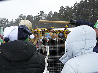 30 ноября  2008 г., Барнаул   Соревнования "Создай СВОЮ команду!"