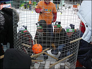 30 ноября  2008 г., Барнаул   Соревнования "Создай СВОЮ команду!"